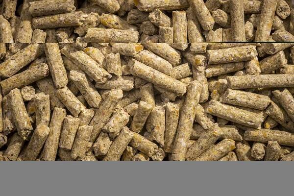 Layer Pellets – Modesto Milling Organic Feeds and Supplements