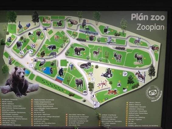 Páťáci v ZOO Děčín - ZŠ Školní 559, Štětí