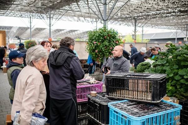 BURZA DROBNÉHO ZVÍŘECTVA A OKRASNÉHO PTACTVA - DUBEN