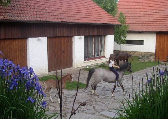 Jezdecký klub Statek Doubravka | Turistický portál Bystřicka 