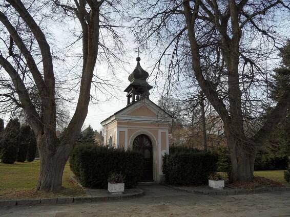 Malenovice (Suchdol)