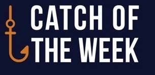 Catch of the week | MSC Cruises