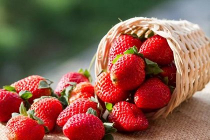 Kdy vysadit jahody, abyste se těšili z bohaté úrody: Ideálně v dubnu nebo květnu