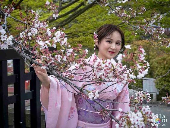 Kimono Style Lives on in Japan – Asia Photo Stories