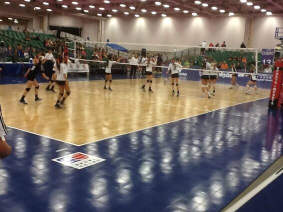 Competition Gyms - Sport Court
