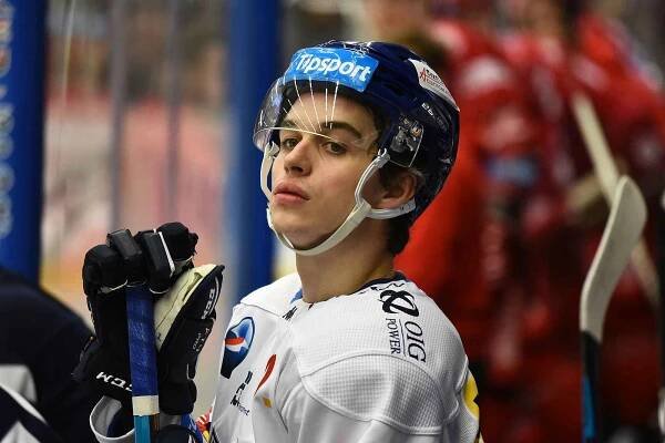 Extraliga hokeje: Motor ČB - Třinec