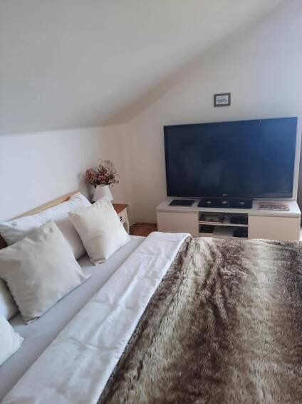 TV a/nebo společenská místnost v ubytování Apartmán Mikulov