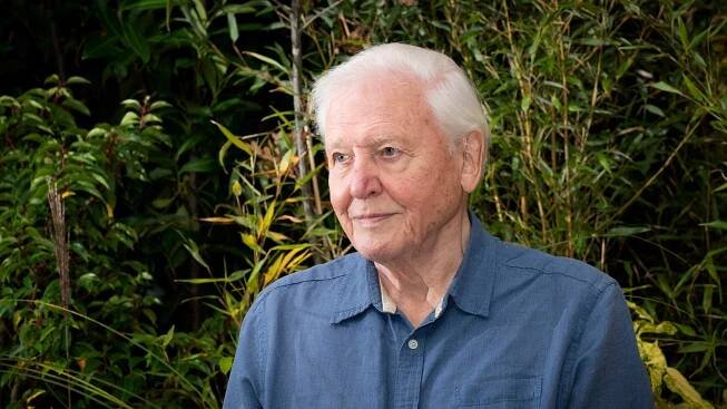 David Attenborough Urges Leaders at COP26 Summit to ‘Rewrite Our Story’