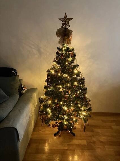 Recenze AGA Vánoční stromek 150 cm s šiškami | Alza.cz 
