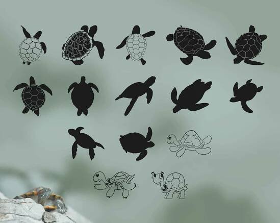 Turtle SVG Pack | Digital Products with Reselling Rights (PLR)
