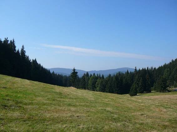 Javořina