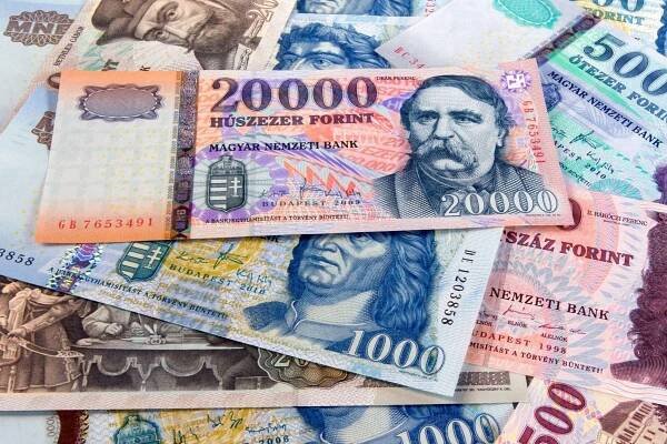 Meno maďarskej meny pochádza zo slova "fiorino" - zlatej mince z Florencie. Fiorino malo na sebe vyrazený kvet, po taliansky "fiore".