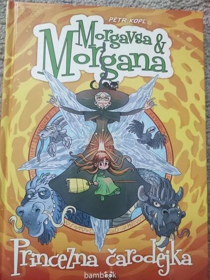 Kniha Morgavsa a Morgana - 3. - Princezna čarodějka - Trh knih - online antikvariát