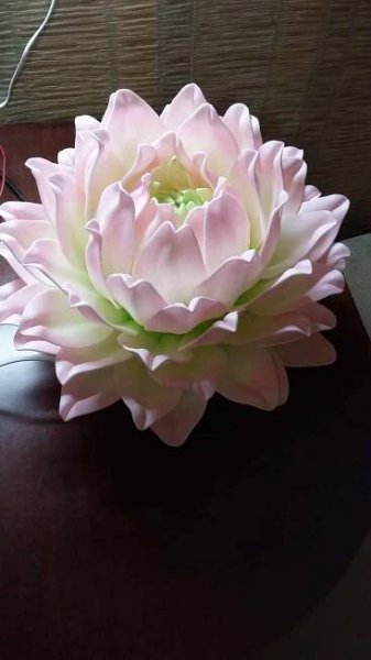 Nový trend ve floristice - velké dekorativní květiny