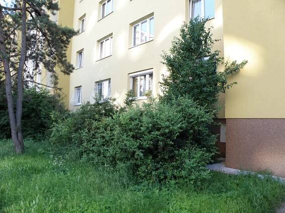 předzahrádky: Bytové družstvo Ovčárská - oficiální web