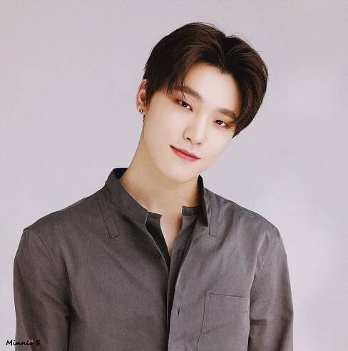 Dino (Seventeen) Age, Height, Girlfriend, Net Worth, Family - Kpop Wiki