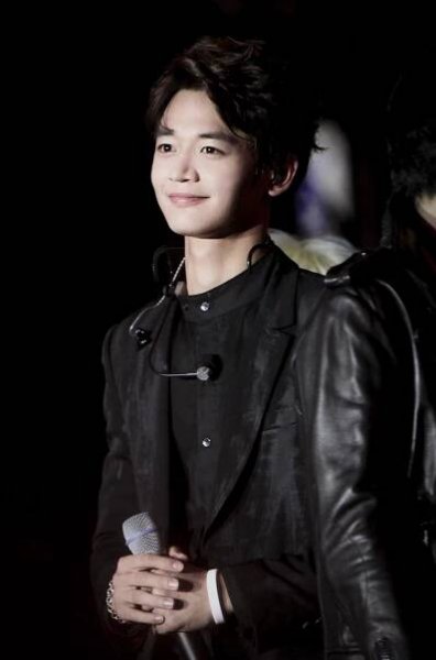 Soubor:Choi Min Ho at the Gangnam Hallyu Festival 2013 01.jpg – Wikipedie