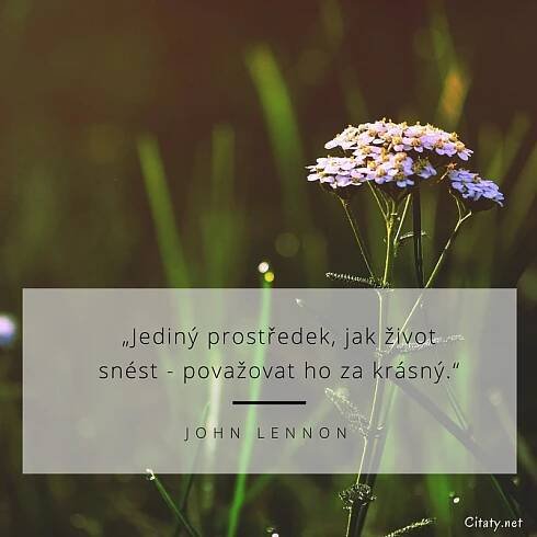 Jediný prostředek, jak život snést - považovat ho za krásný.