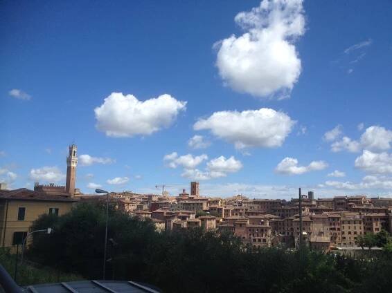 Opala! Tuscany Beyond the Sun…. – The Family Traveler