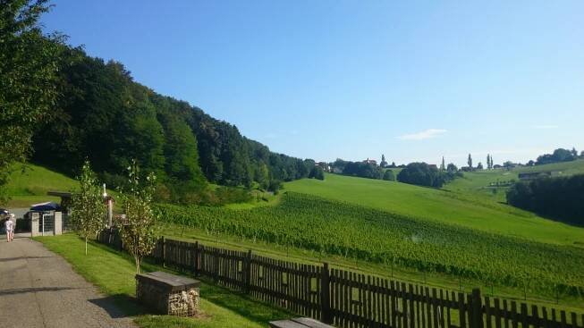 Blick auf die Landschaft