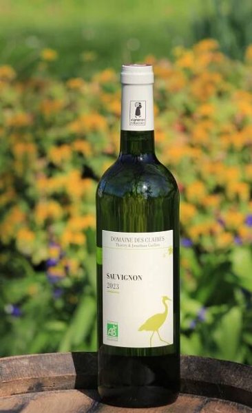 White Sauvignon