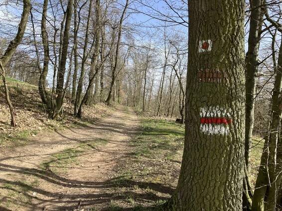 Fotografie - 30.03.2024
