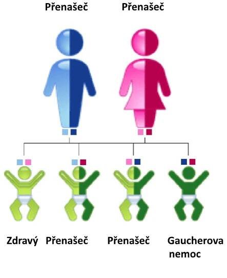 Dědičnost | xLSD