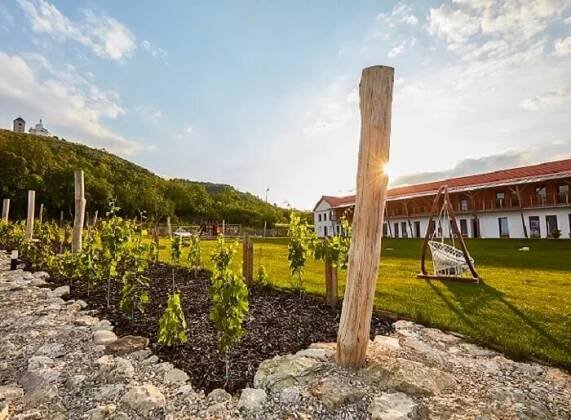 Designový vinařský hotel Ryzlink v Mikulově