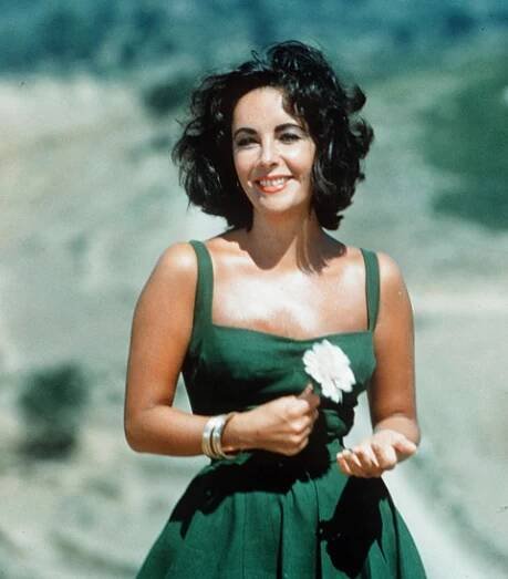 Liz Taylor měla dceru s tesařem, dala ji rodině v Irsku – Dáma.cz