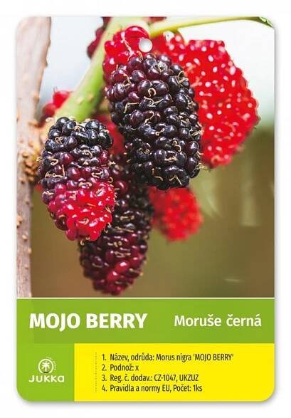 Moruše MOJO BERRY | Jukka.cz