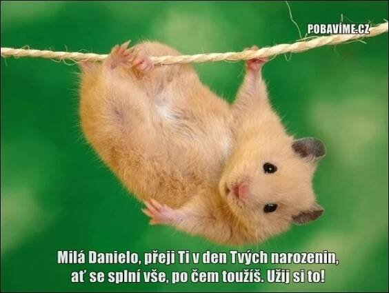 Přání k svátku pro Petru. Přání text, obrázek. Stahujte zdarma