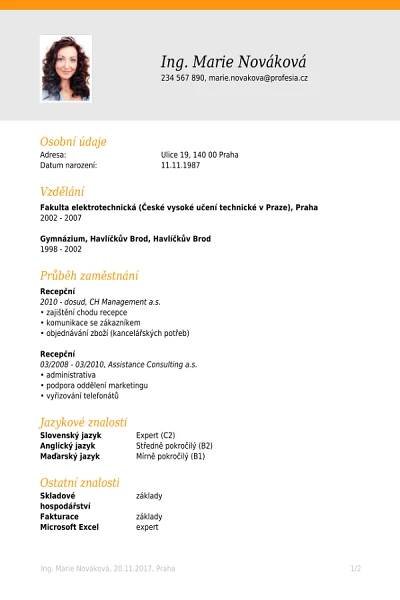 Curriculum Vitae English Vzor - Girha Curriculum Vitae
