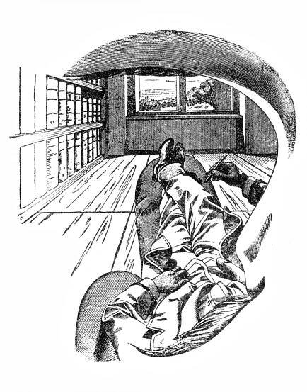 expected to be relevant to the “perception” of mathematical objects such as sets too.   Fig22 . Ernst Mach, Illustration from The Analysis of Sensations.  regularities (including those learned by evolution, i.e. innate). This aspect would be  bits that it has actually acquired of the scene, but also by relying implicitly on learnec 