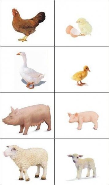 Pin van Isabel Costa op Creche in 2025 | Boerderijdieren, Boerderij thema knutselen, Boerderij thema