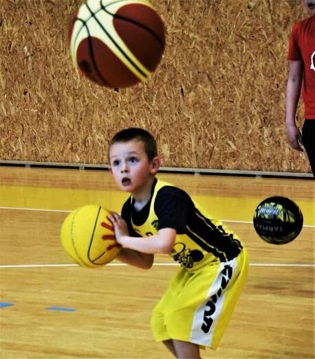Sokol Sršni Písek - Sokol Pražský 72:80.