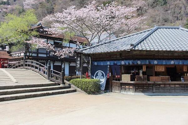Tochigi Prefecture: All You Must Know Before You Go (2025) - Tripadvisor