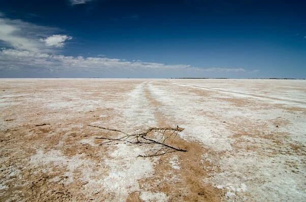 Desert landscapes by Justin Welbergen - WildPhotos.org