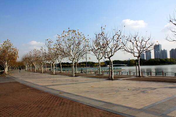 Century Park (Shanghai)