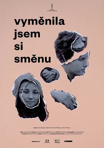 Vyměnila jsem si směnu - Plakáty