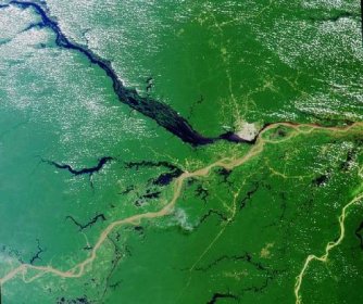 Novinka: Rekordy přírody 3 - Amazonka