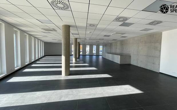 Obchodní prostory, Polní, Brno, 454 m²