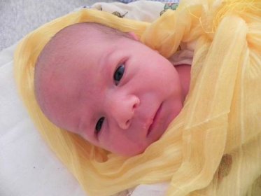 Miminka narozená v měsíci červenci - Naše miminka - Dětské - Oddělení - Nemocnice Havlíčkův Brod