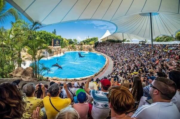 Tenerife: Vstupenka do Loro Parque