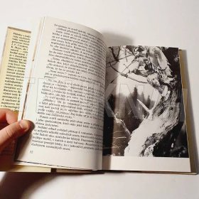 Kniha Indiánské příběhy - [úryvky z románů] - Trh knih - online antikvariát
