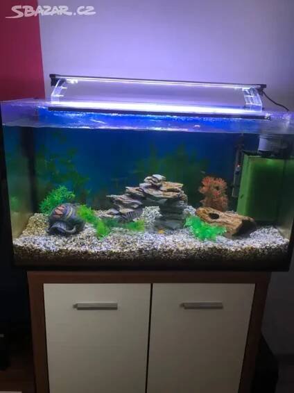 Akvarium120l - Bělotín - Bazar