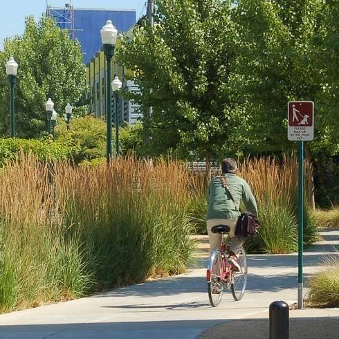Doyle Street Greenway