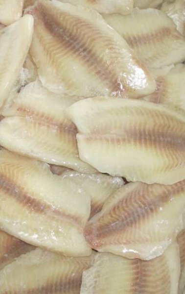 Tilápie filety IQF glaz.do 20% 80-130g balení 5kg