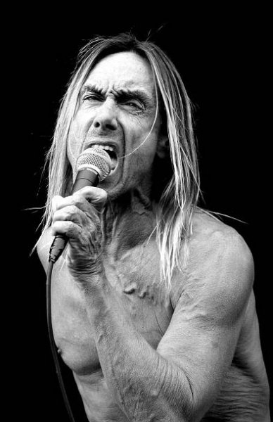 Iggy Pop - Rock n Roll Prints