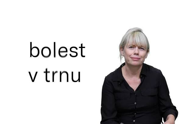 Jedna báseň. Autorky čtou: Pavla Melková