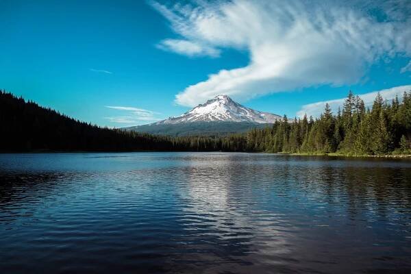oregon2